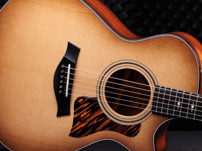 Taylor Guitars | Shop Guitars & Accessories